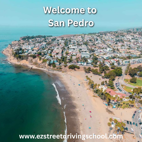 Driving Lessons in San Pedro
